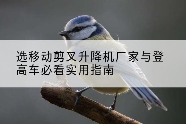 恩阳电动升降机厂家-选移动剪叉升降机厂家与登高车必看实用指南
