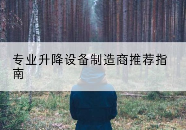 恩阳电动剪叉升降平台厂家-专业升降设备制造商推荐指南