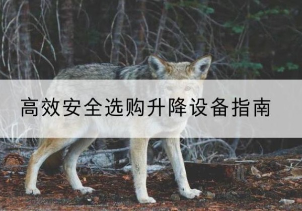 恩阳升降货梯厂家推荐-*安全选购升降设备指南