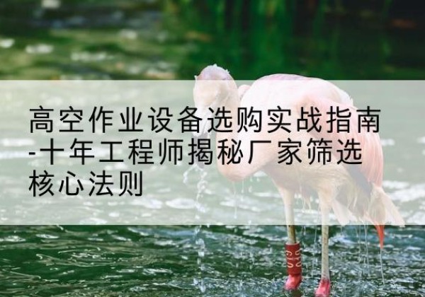 恩阳剪叉式升降机厂家-高空作业设备选购实战指南-十年工程师揭秘厂家筛选核心法则